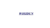 Логотип Wosidun